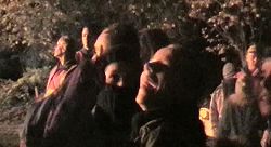 Smiling crowd look up